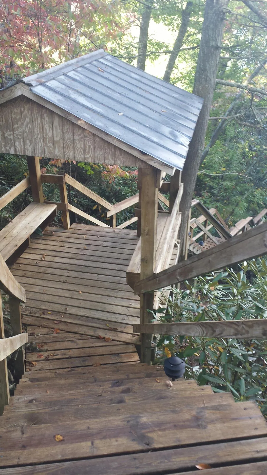 Metal roofed shelter over wooden steps on a wooded walkway — Skylight Repair & Installation work by our crew in Chapman Ranch