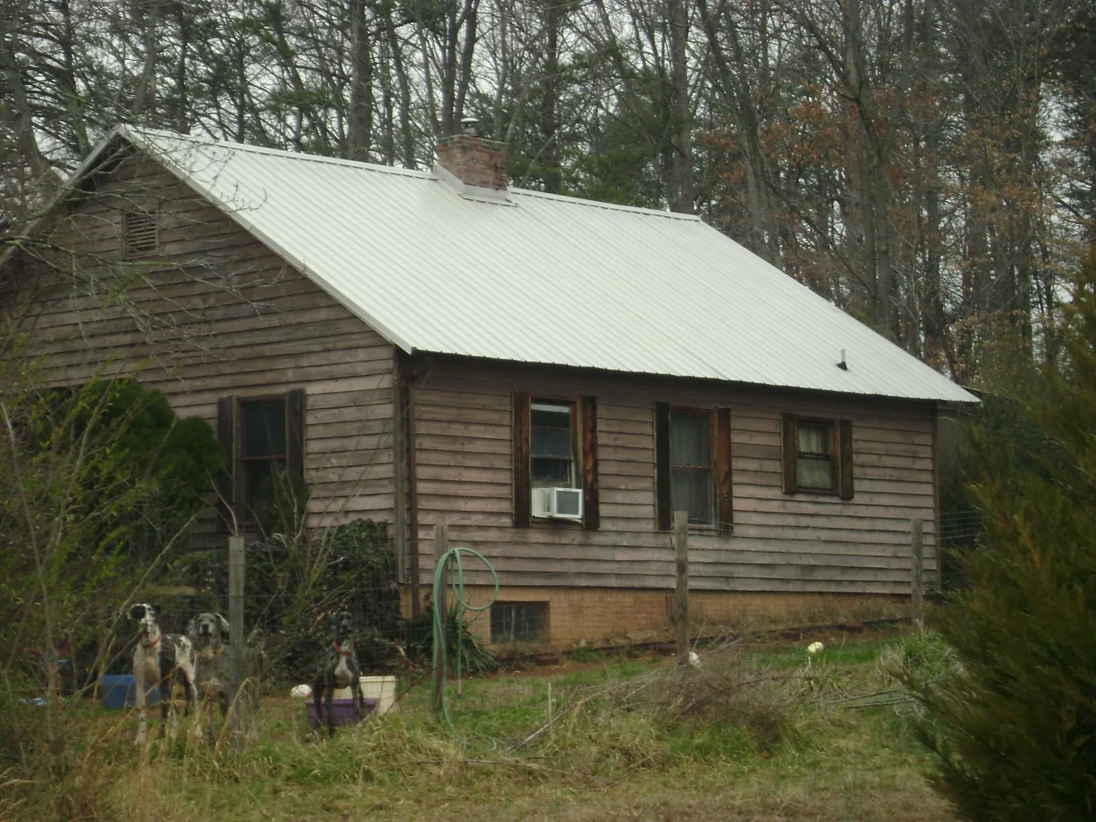 White metal roof on an old wood sided farmhouse, from a Metal Roof Installation job in Chapman Ranch